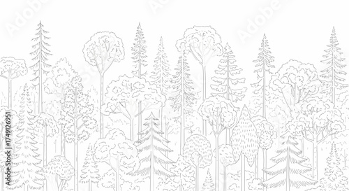 Minimalist forest line art featuring a dense collection of various trees in a muted gray tone, white background