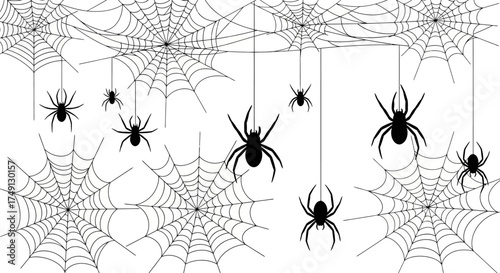 Vector illustration featuring spiderwebs and hanging spiders, perfect for Halloween, white background