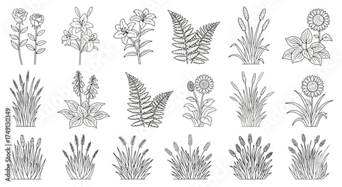 Vector Line Art Set of Garden Plants and Grass, Perfect for Landscape Design Elements, white background