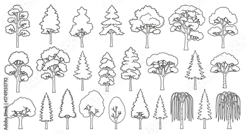 Vector illustration of various tree species in outline style on a white background, white background