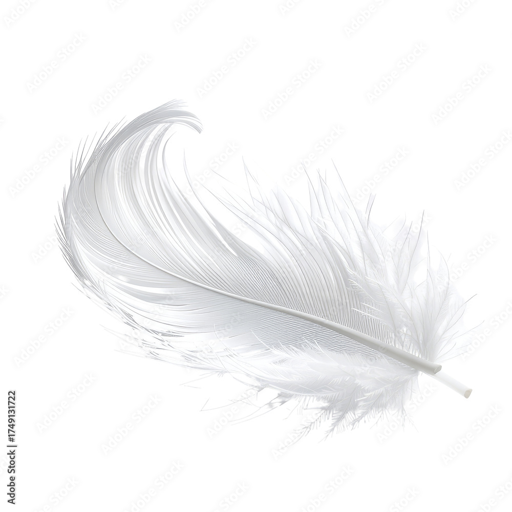 Obraz premium Delicate white feather, with intricate details and graceful curves, isolated