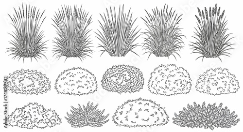 Vector illustration of various grass and bush outlines, ideal for landscape design, white background