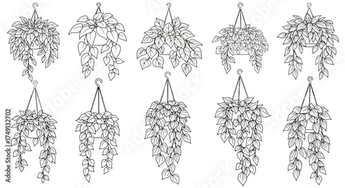 Set of decorative hanging plants and vines line art for architectural visualization, white background