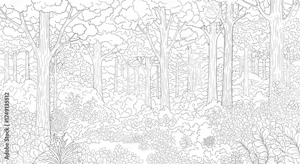 Fototapeta premium Monochrome outline drawing of a lush forest with various trees and dense foliage, white background