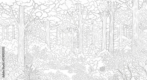 Monochrome outline drawing of a lush forest with various trees and dense foliage, white background