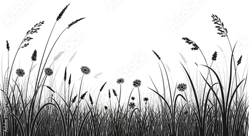 Monochrome vector illustration of a field with grasses and plants, white background