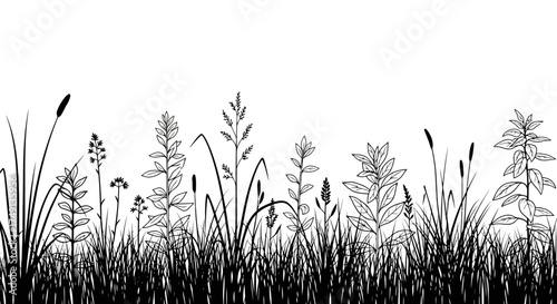 Monochrome vector illustration of a field with grasses and plants, white background
