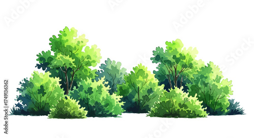 Watercolor illustration of lush green trees and bushes on a white background, white background
