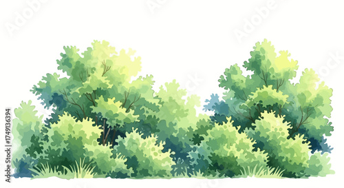 Watercolor illustration of lush green trees and bushes on a white background, white background
