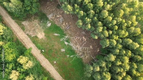 Aerial shot of cleared forest land for construction project