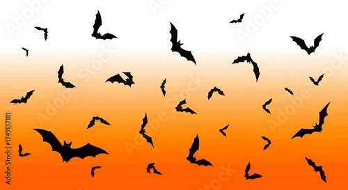 Halloween background illustration with flying black bats and orange gradient, white background