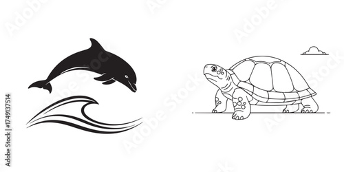 Silhouette Dolphin and Line Art Turtle on White