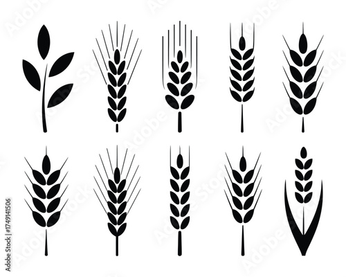 Set of 10 black and white wheat stalk illustrations for graphic design and agriculture themes silhouette