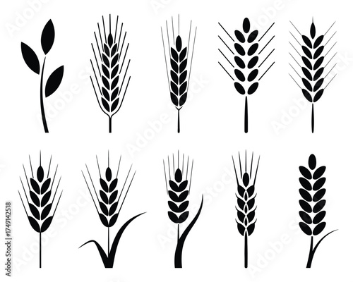 Set of ten black and white wheat and grain illustrations vector graphics scalable eps icons silhouette