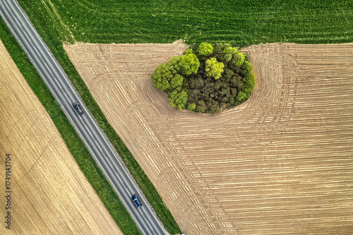 Fototapeta Naklejka Na Ścianę i Meble -  Vertical aerial view of road crossing golden fields with a small tree island, Mazury Poland summer, drone high-angle, daylight, commercial stock