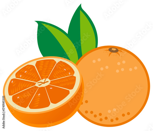 Orange food vector showing juicy citrus rich in vitamin C for healthy diet designs.