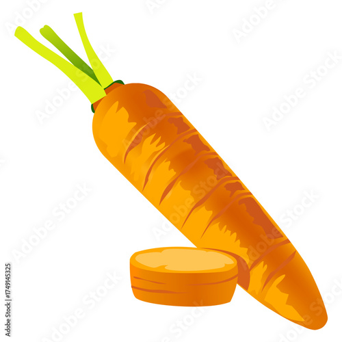 Carrot food vector showing orange root vegetable rich in vitamin A and nutrition.