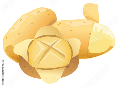 Potato food vector symbolizing natural carbohydrate vegetable rich in starch and nutrition.