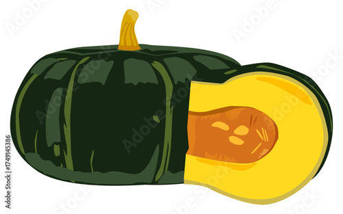 Bright pumpkin food vector showing orange vegetable rich in vitamins and nutrition.