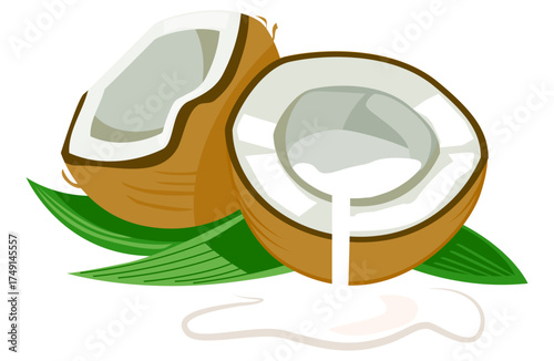 Coconut oil food vector showing tropical healthy fat used in cooking and skincare.