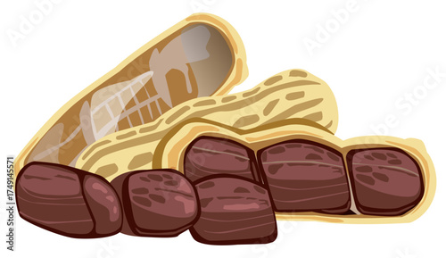 Peanut food vector showing brown nut rich in protein, fat, and vitamins for healthy snacks.