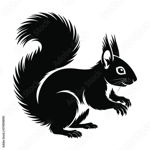 Scalable vector silhouette illustration of a detailed squirrel with a bushy tail for graphic design projects silhouette