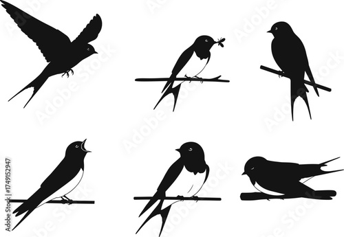Bird silhouettes in flight and perched on branches, swallow vector illustration, nature wildlife design, black isolated shapes, artistic animal poses