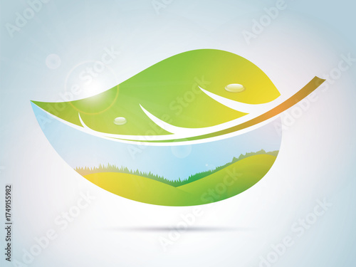 Detailed green leaves and water on abstract background.