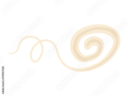Worm Whipworm Illustration
