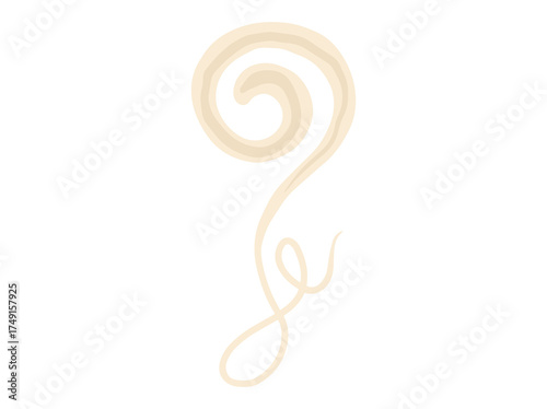 Trichuris Trichiura Illustration
