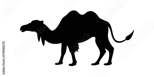 Camel icon silhouette on white background
