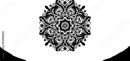 Fotografie Intricate black mandala design with elegant floral swirls and symmetrical patter