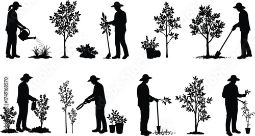 Gardener silhouette planting and watering trees, trimming plants, outdoor gardening activity, eco farming and nature care concept vector illustration design.