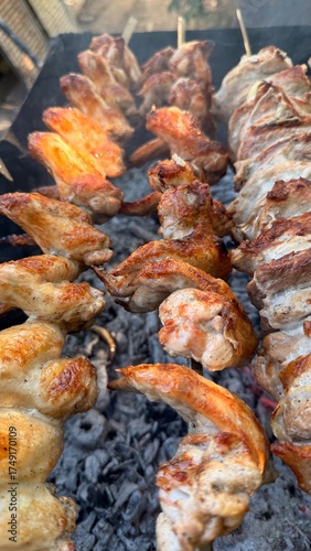 meat on the grill. Grilled chicken wings and meat over a fire.
