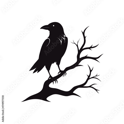raven on a branch
