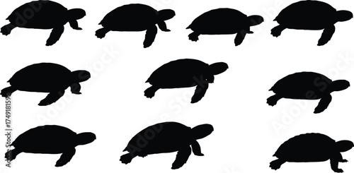 Silhouette collection of turtles walking and crawling, animal wildlife illustration, reptile species concept, slow movement nature art, marine biology design