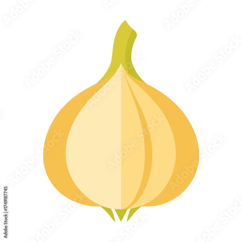 vector illustration of a fig