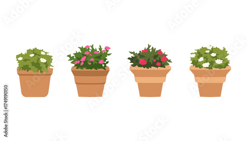 Set of cute potted plants illustration in flat style