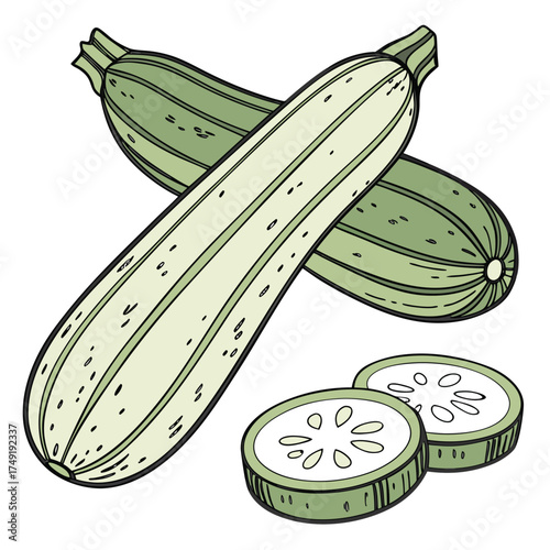 Two whole zucchinis and two sliced zucchini circles 1