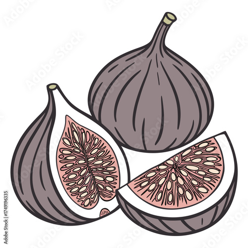 Two whole figs and one sliced fig vector illustration 2