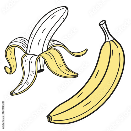 Two whole bananas and one peeled banana vector illustration 1