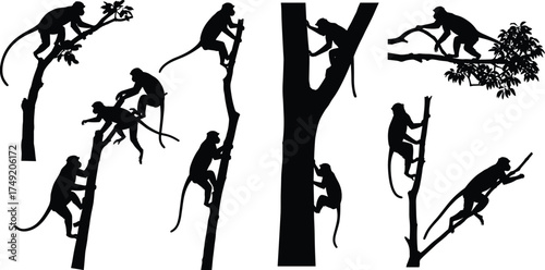 Silhouette of monkeys climbing trees in jungle, wildlife animal vector illustration, forest nature artwork, black monkey silhouettes collection design
