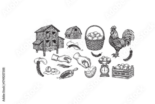 Farm Products Set, Rooster, Chicken Coop, Eggs, Vegetables, and Hand Harvesting in a Vintage Style