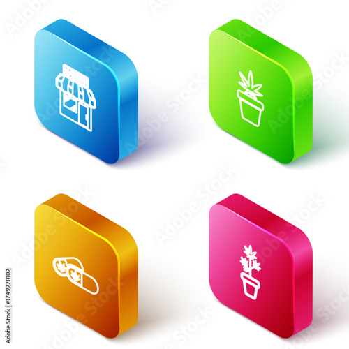 Set Isometric line Marijuana and cannabis store, plant in pot, Medical pills with marijuana and icon. Vector