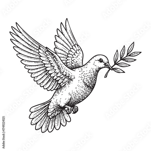Dove with Olive Branch engraving vector illustration