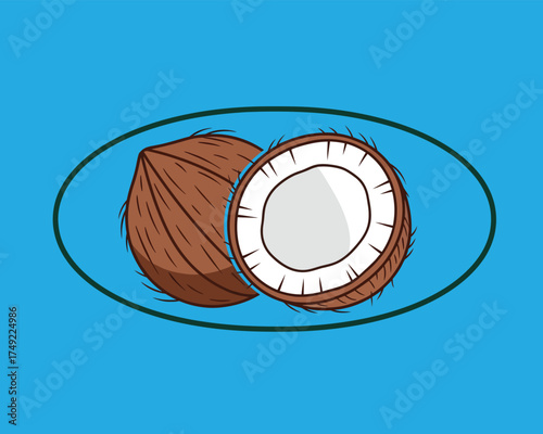 Delicious and nutritious whole and halved coconut illustration on a bright blue background