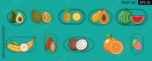 Fruit set illustration Avocado, pineapple, papaya, watermelon, banana, coconut, orange and more