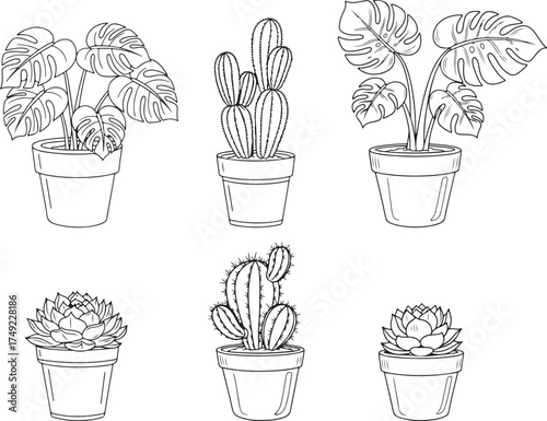 Potted Houseplants Line Art | Monstera, Cactus, and Succulent Outlines

Tropical and Desert Plant Doodles | Indoor Garden Vector Sketches

Minimalist Houseplant Collection | Hand Drawn Potted Flora Cl