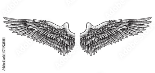 Angel Wings Spreading, Feathered Wings engraving vector illustration