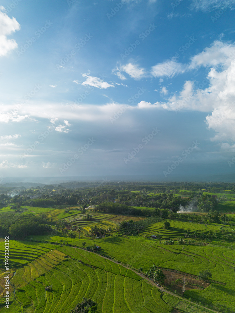 Fototapeta premium Beautiful morning view indonesia Panorama Landscape paddy fields with beauty color and sky natural light